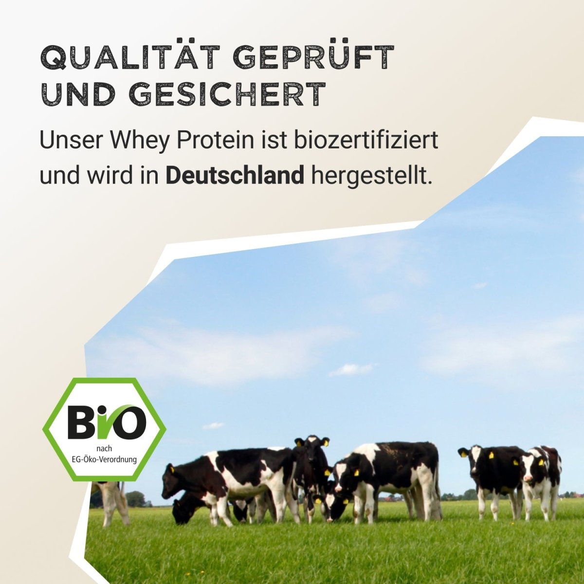 Whey Protein - Banana