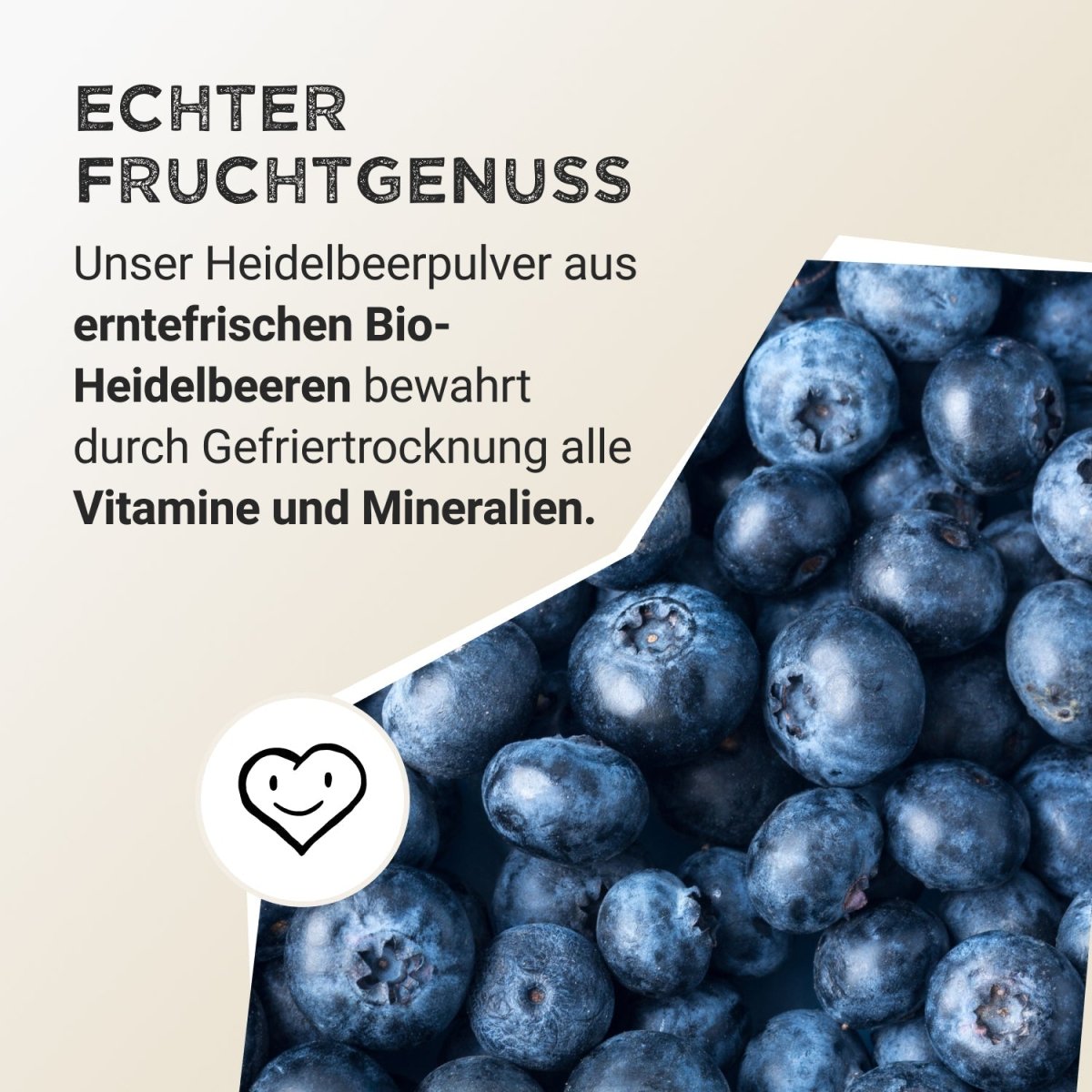 Fruit Powder - Wild Blueberry