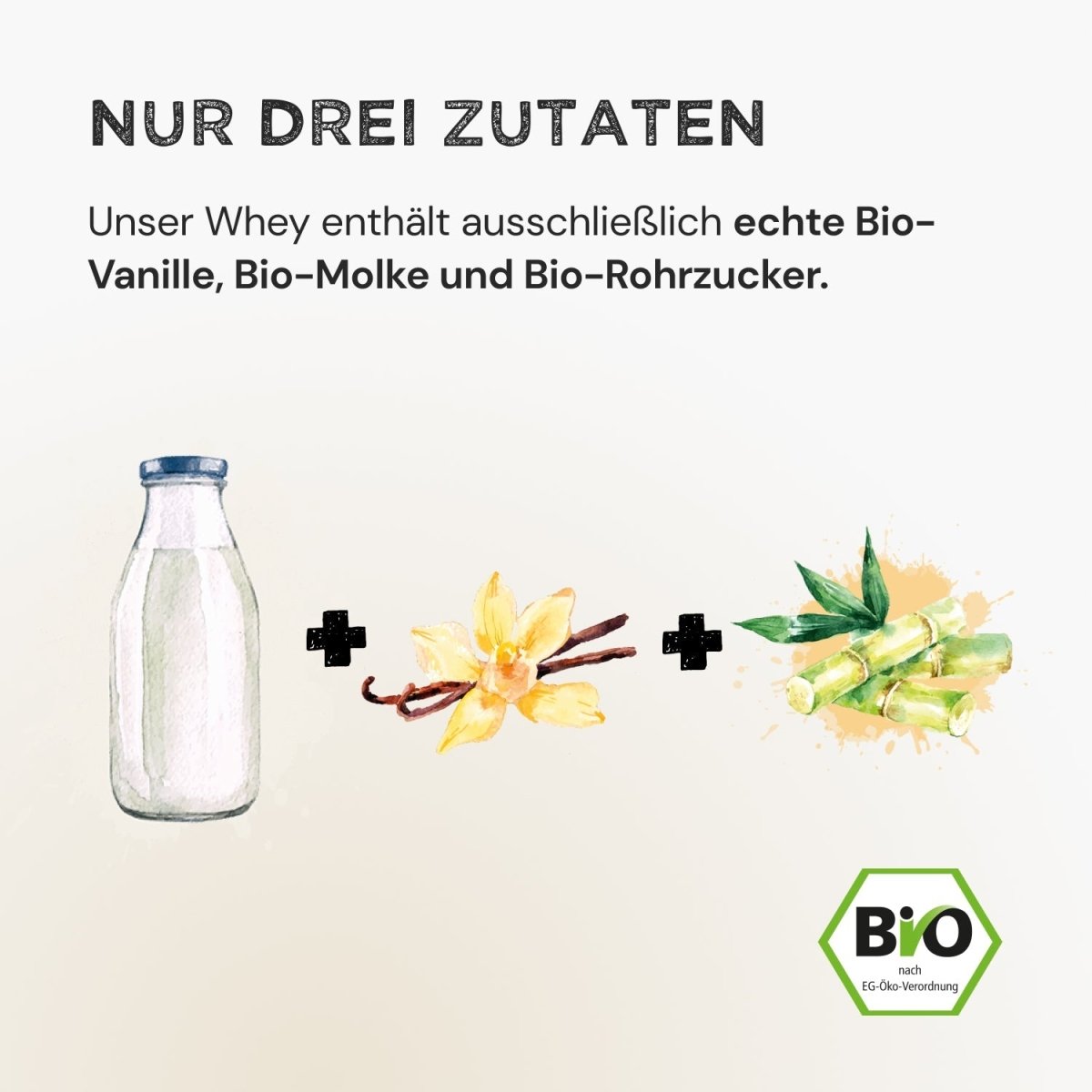 Whey Protein - Vanilla